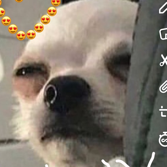 Meet your Posher, Jesus - Picture 2 of 2